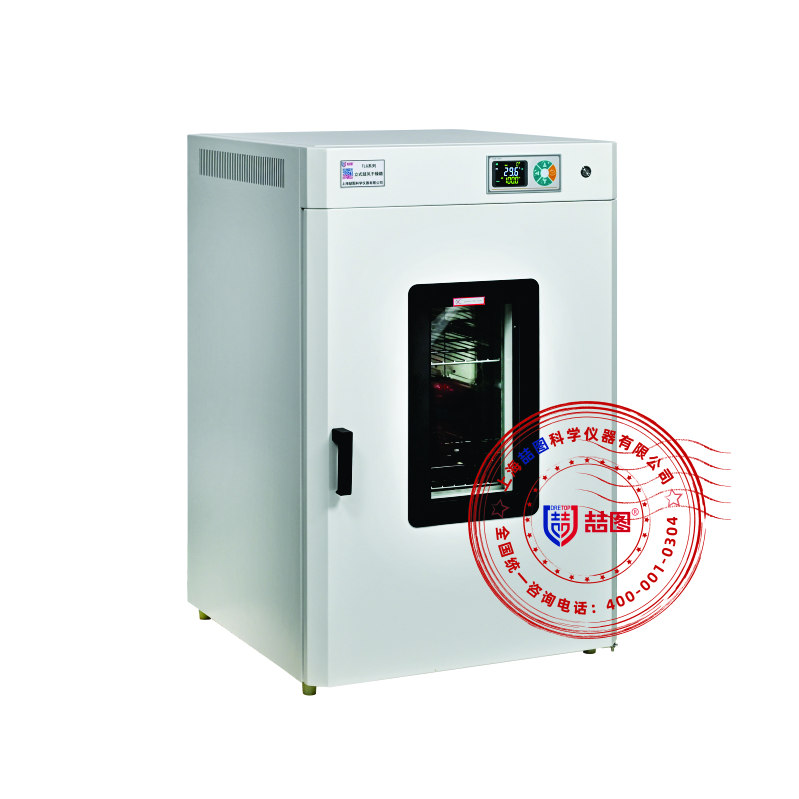 立式鼓风干燥箱