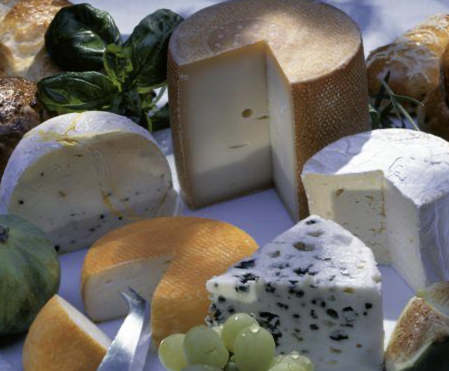 恒温培养箱在奶酪行业中的应用
