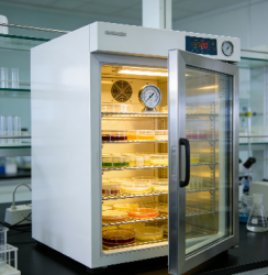 <b>恒温恒湿培养箱：豌豆芽苗菜速生培育的秘密武器</b>