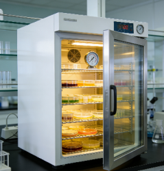 <b>宠物食品霉菌检测：恒温恒湿培养箱的控温控湿应用指南</b>