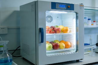 恒温恒湿培养箱：新鲜果蔬加工前失水防控营养锁